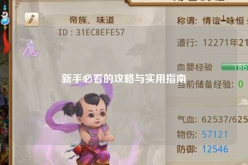 新手必看的攻略與實用指南