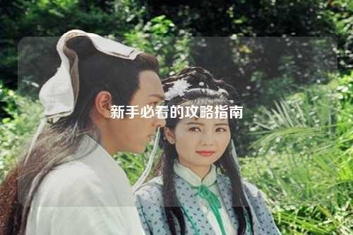 新手必看的攻略指南