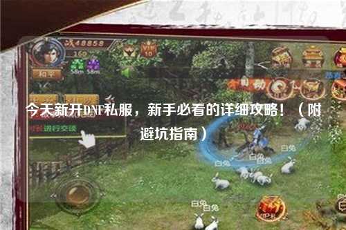 今天新開DNF私服,新手必看的詳細(xì)攻略!(附避坑指南)