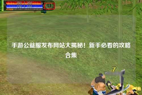 手游公益服發布網站大揭秘!新手必看的攻略合集