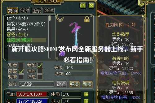 新開服攻略SFDNF發布網全新服務器上線，新手必看指南！
