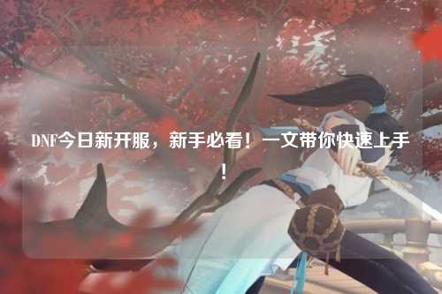 DNF今日新開(kāi)服，新手必看！一文帶你快速上手！